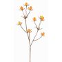Deko Zweig Edeldistel LOUKAS, gelb-orange, 45cm, Ø1-1,5cm