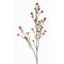 Künstliche Wachsblume NIANG, orange-rot, 80cm, Ø1,5-2,5cm