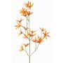 Kunstblume Zweig Tweedia solanoides PALLAS, orange, 70cm, Ø5cm