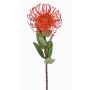 Künstliche Nadelkissen Protea BAILY, orange, 55cm, Ø10cm