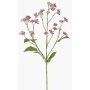 Deko Zweig Wasserdost KORALIA, violett, 80cm, Ø4-7cm