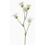 Künstliche Japanische Nelke KASTALIA, creme, 65cm, Ø4-5cm