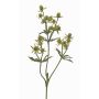 Kunstblumenzweig Edeldistel KALYPSO, grün, 65cm, Ø3-4cm