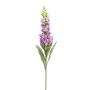 Unechte Blume Fingerhut LOBEIRA, lila, 90cm, Ø13cm