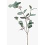 Kunstzweig Eukalyptus MAXEN mit Früchten, grün-grau, 75cm
