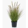 Deko Kunstgras Federborstengras YWAIN mit Rispen, beige-grün, 60cm