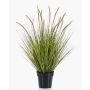 Deko Kunstgras Federborstengras YWAIN mit Rispen, beige-grün, 85cm