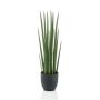 Sansevieria Cylindrica Kunstpflanze KICHIRO im Dekotopf, grün, 70cm