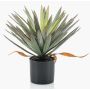 Künstliche Yucca elephantipes KOUKI, 50cm