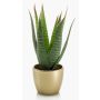 Künstliche Sukkulente Aloe Variegata MARTINEZ, Keramiktopf gold, grün, 25cm, Ø17cm
