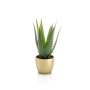Künstliche Sukkulente Aloe Variegata MARTINEZ, Keramiktopf gold, grün, 25cm, Ø17cm