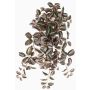 Kunstpflanze Tradescantia Zebrina KALANI, Steckstab, schwer brennbar, grün-weiß, 55cm