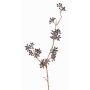 Plastik Eucalyptuszweig SOHA mit Früchten, dunkelbraun, 60cm