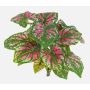 Kunstpflanze Caladium BECRUX auf Steckstab, grün-pink, 35cm