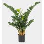 Kunstpflanze Zamioculcas Zamiifolia AKONO, 65cm