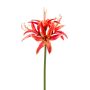 Dekoblume Gartenamaryllis TADASHI, orange, 75cm