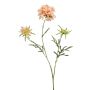 Deko Zweig Scabiosa MARUA, pfirsich, 80cm