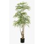 Ruscus Baum künstlich KALED, Kunststamm, grün, 180cm