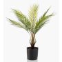 Kunst Bergpalme AIKU, 50cm