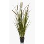 Künstliches Schilfgras ZWENA mit Rispen, grün-gelb, 85cm