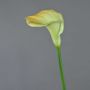 Künstliche Calla DAISCHI, gelb-grün, 70cm, 11x14cm