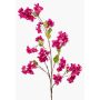 Dekozweig Drillingsblume MIKKI mit Blüten, pink, 130cm