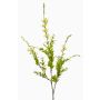 Deko Zweig Verbene NAJEH, gelb, 85cm, Ø2-5cm