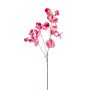 Künstliche Blume Duftwicke KANZI, pink-creme, 75cm, Ø4-7cm