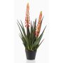 Kunstpflanze Aloe Vera SUSUMI mit Blüten, Dekotopf, orange-grün, 80cm