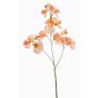 Künstliche Blume Duftwicke KANZI, pfirsich, 75cm, Ø4-7cm
