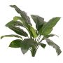Kunstpflanze Spathiphyllum PLAKIAS, schwer brennbar, Steckstab, grün, 90cm