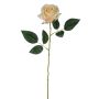 Kunstblume Rose SEENSA, creme-aprikose, 55cm, Ø7cm