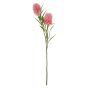 Künstlicher Zweig Zylinderputzer UVELINA mit Blüten, rosa, 75cm