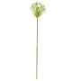 Kunstblume Allium ITZALIA, weiß, 70cm