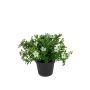 Kunstblume Fingerkraut ISLENA im Dekotopf, weiß, 14cm
