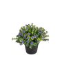 Kunstblume Fingerkraut ISLARA im Dekotopf, violett, 17cm