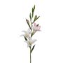 Textilblume Gladiole ERIMMA, weiß-rosa, 70cm