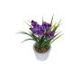 Künstliche Blume Krokus ELNIRA im Dekotopf, violett, 24cm
