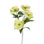 Deko Zweig Christrose NIOMERA, grün, 75cm