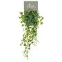 Kunstpflanze Efeu NILEMIA, buschig, hängend, Steckstab, grün, 60cm