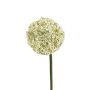 Kunstblume Allium LAYANE, weiß-grün, 65cm