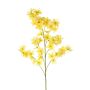 Dekozweig Frangipani SHALMA, gelb, 90cm