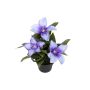 Künstliche Blume Clematis ELENAYA im Dekotopf, violett, 20cm