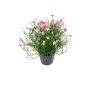 Kunstblume Sternblume FARELIA im Dekotopf, rosa, 24cm