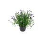 Kunstblume Sternblume FARELIA im Dekotopf, violett, 24cm