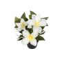 Künstliche Blume Clematis ELENAYA im Dekotopf, weiß, 20cm