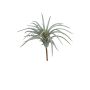 Kunst Sukkulente Tillandsia stricta RIVELIA, Steckstab, grau, 20cm