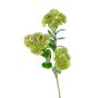 Kunst Zweig Sedum spectabile SHAIMAL mit Blüten, grün, 55cm