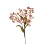 Deko Zweig Heliophila VERUNIA, rosa, 70cm