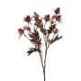 Kunst Zweig Edeldistel KORVELA, burgunderrot, 65cm